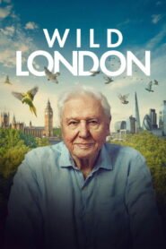 Wild London