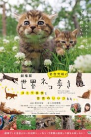 Mitsuaki Iwago’s World “Cats” Travelogue
